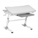 Ergo Office bērnu ergonomisks rakstāmgalds ar regulējamu augstumu, pelēks, max 100kg, ER-417 2cz Ergo Office bērnu ergonomisks rakstāmgalds ar regulējamu augstumu, pelēks, max 100kg, ER-417 2cz