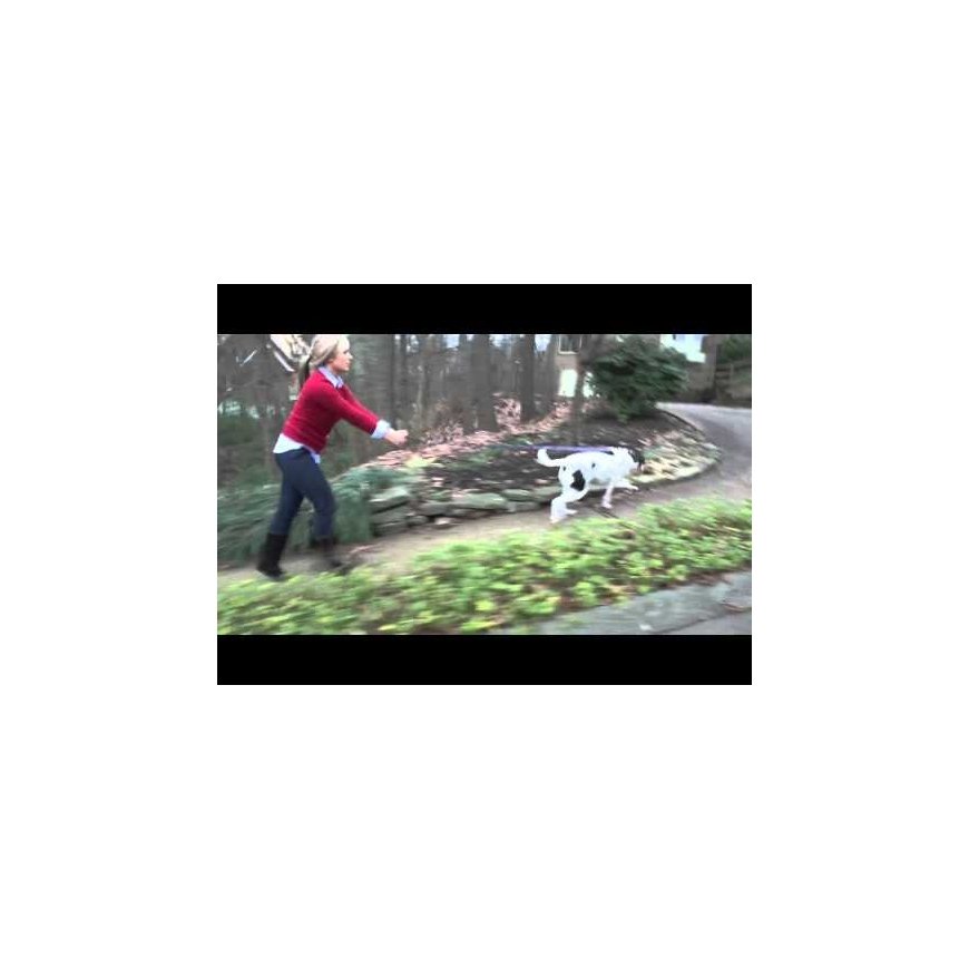 Easy Walk® Belt (XL, Black)/EW-H-XL-BK-45 – 2