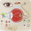 MASTERKIDZ educational vision board MASTERKIDZ educational vision board