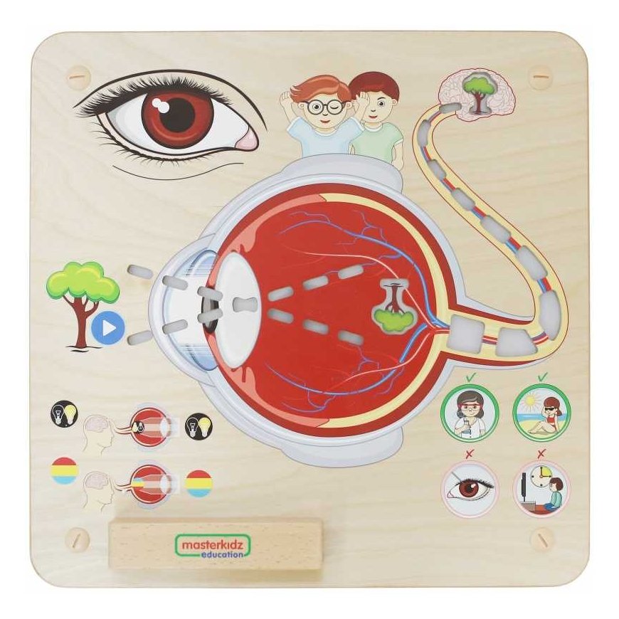 MASTERKIDZ edukacinė regos lenta – 4