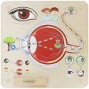 MASTERKIDZ edukacinė regos lenta MASTERKIDZ edukacinė regos lenta