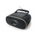 Muse MD-202 VT Analoog FM, MW Must, Kuld Muse MD-202 VT Analoog FM, MW Must, Kuld