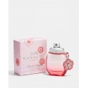 Coach Coach Floral Coach Coach Floral