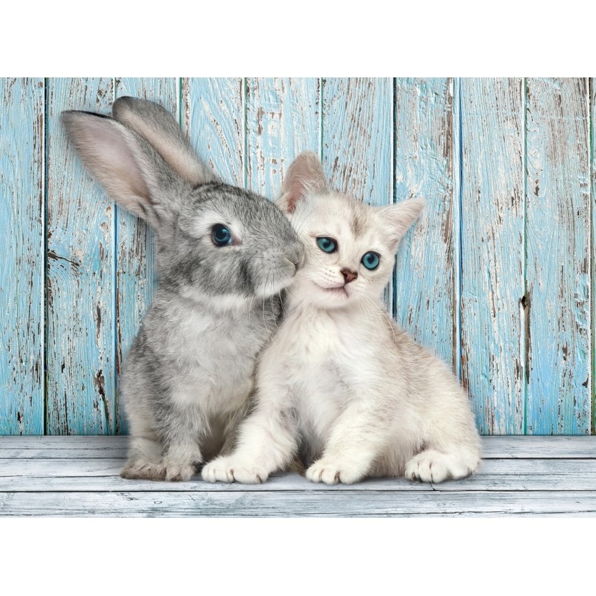 Clementoni Cat & Bunny Jigsaw puzzle 500 pc(s) Animals – 2