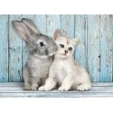 Clementoni Cat & Bunny Puzle 500 pcs Dzīvnieki Clementoni Cat & Bunny Puzle 500 pcs Dzīvnieki
