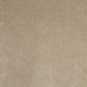 Euro curtains ZAS/ARIADNA/BEIGE 140X250 TRANSPARENT