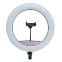 Elight SR14 36cm LED Light Ring with Smartphone holder + 220V Ad Elight SR14 36cm LED Light Ring with Smartphone holder + 220V Ad
