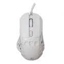 White Shark GM-5016 Ector White White Shark GM-5016 Ector White