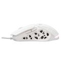 White Shark GM-5016 Ector White White Shark GM-5016 Ector White