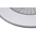 Šviestuvas su ventiliatoriumi Domoletti Frost DT1070-550 Šviestuvas su ventiliatoriumi Domoletti Frost DT1070-550