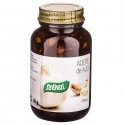 Santiveri Garlic Oil 115 pearls Santiveri Garlic Oil 115 pearls