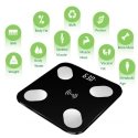 CP B2 Glass Bluetooth Smart Body Scale with Progress Synchroniza CP B2 Glass Bluetooth Smart Body Scale with Progress Synchroniza