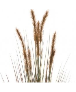4Living Hay in pot 122 cm