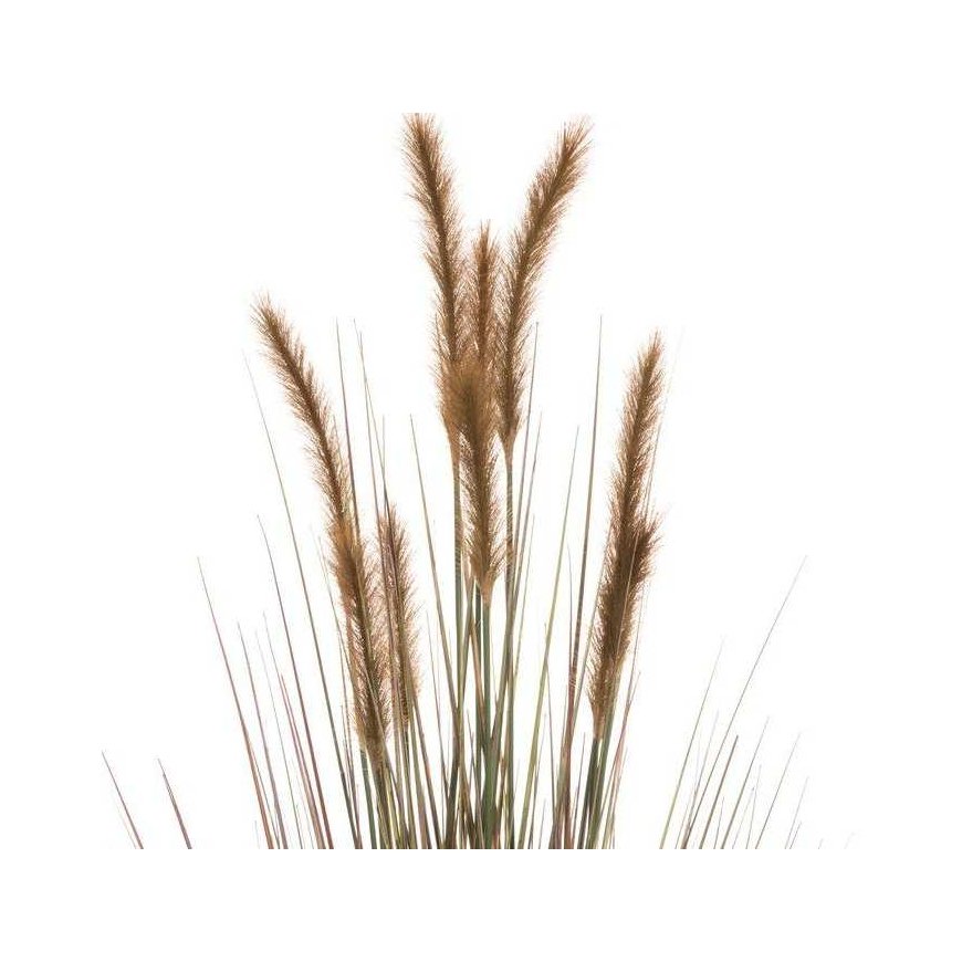 4Living Hay in pot 122 cm