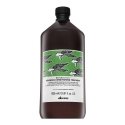 Davines Natural Tech Renewing Conditioning Treatment 1000 ml Davines Natural Tech Renewing Conditioning Treatment 1000 ml