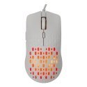 Baracuda BGM-022 OCTOPUS White Baracuda BGM-022 OCTOPUS White