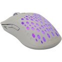 Baracuda BGM-022 OCTOPUS White Baracuda BGM-022 OCTOPUS White