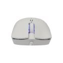 Baracuda BGM-022 OCTOPUS White Baracuda BGM-022 OCTOPUS White
