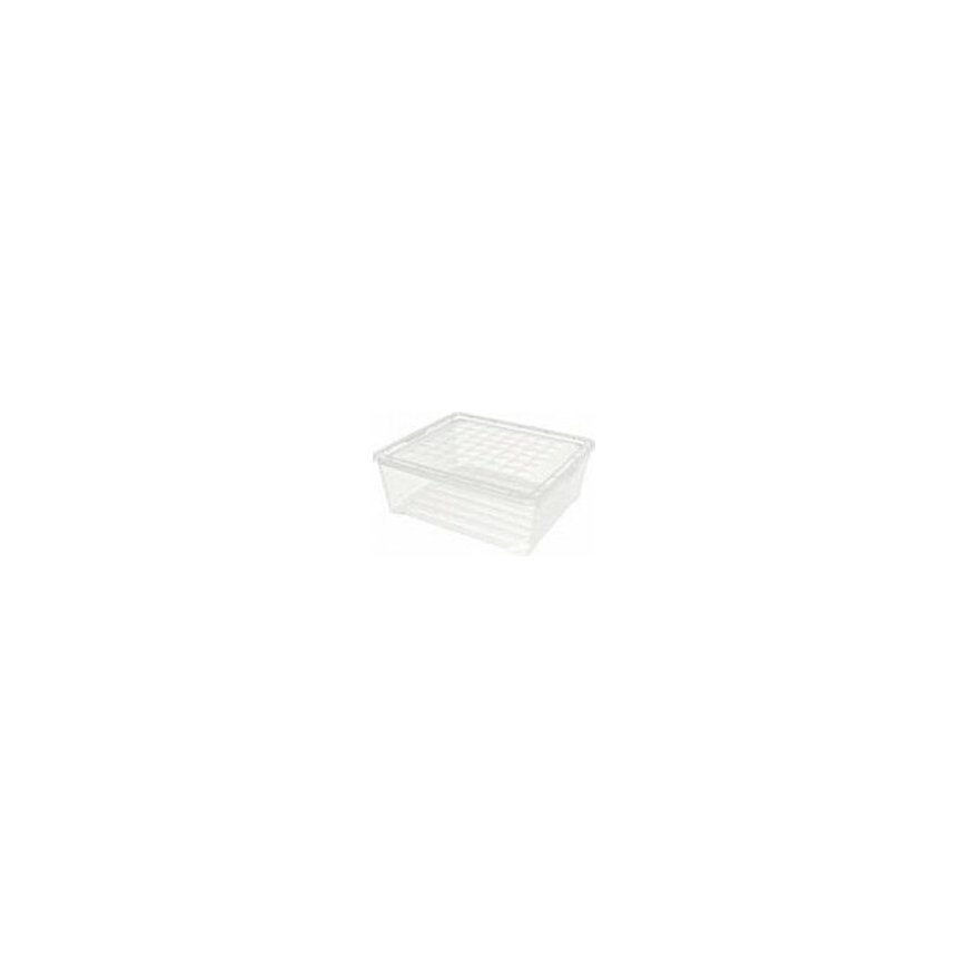 Box with lid and handle Multiboxx 6L 26x20x24cm transparent