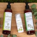 Sylveco Balsam brzozowy su betuliną – regenerujący balsam do skóry suchej i wrażliwej, 300ml