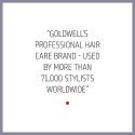 Conditioner for unruly hair Goldwell Just Smooth Taming Conditioner 200 ml