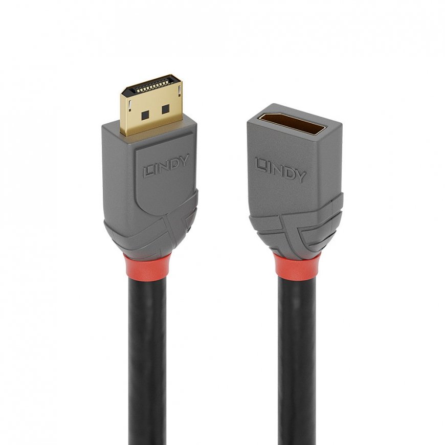 Lindy 36496 DisplayPort-kaabel 1 m Must