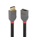 Lindy 36496 DisplayPort kabelis 1 m Melns