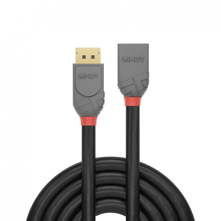 Lindy 36496 DisplayPort kabelis 1 m Melns – 2