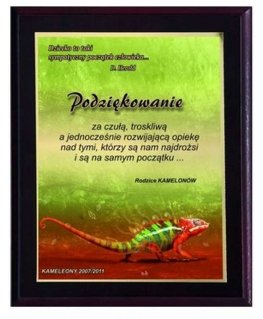 Tryumf Plastic diploma with colored touch laminate