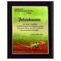Tryumf Plastic diploma with colored touch laminate Tryumf Plastic diploma with colored touch laminate