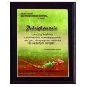Tryumf Plastikinis diplomas su spalvotu touch laminatu Tryumf Plastikinis diplomas su spalvotu touch laminatu