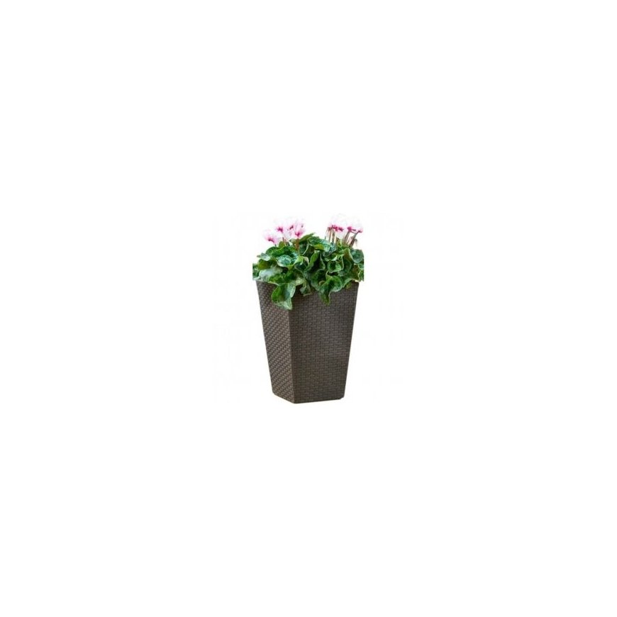 Keter Flowerpot Rattan Planter S 23