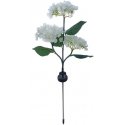 TelForceone SUNARI Solar Lamp LED FLS-93 Hydrangeas 3000K 600mAh Li-Ion Forever Light TelForceone SUNARI Solar Lamp LED FLS-93 Hydrangeas 3000K 600mAh Li-Ion Forever Light