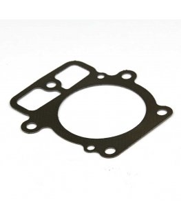 Cilindro galvutės tarpinė Briggs&Stratton 693997 1 vnt.