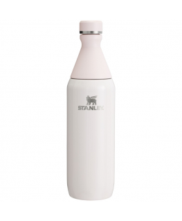Stanley 1913 10-12069-021 pudele dzeršanai Ikdienas lietošanai 0,6 ml Nerūsējošs tērauds Rožu