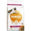 Iams CAT Vitality Senior chicken 3kg Iams CAT Vitality Senior chicken 3kg