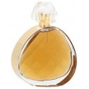 Elizabeth Arden Untold Absolu EDP eau de parfum for women, 100 ml