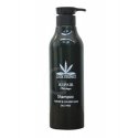 STAPIZ HA ESSENCE AQUATIC SHAMPOO 300ML