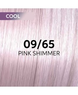 Hair dye Wella Professionals Shinefinity Glaze 60ml
