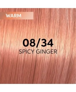 Hair dye Wella Professionals Shinefinity Glaze 60ml
