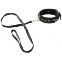 Collar Collar and leash Collar Collar and leash