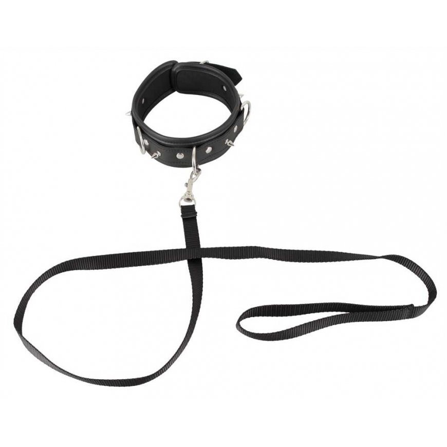 Collar Collar and leash – 3
