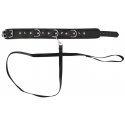 Collar Collar and leash Collar Collar and leash