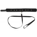 Collar Collar and leash Collar Collar and leash