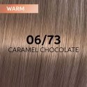 Hair dye Wella Professionals Shinefinity Glaze 60ml