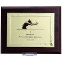 Tryumf Diploma is made of plastic with an engraved metal plate