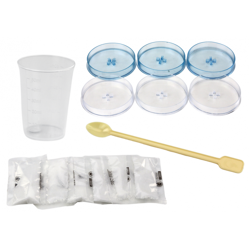 Lean Toys Creative Educational Kit for Growing Crystal Trees – 3