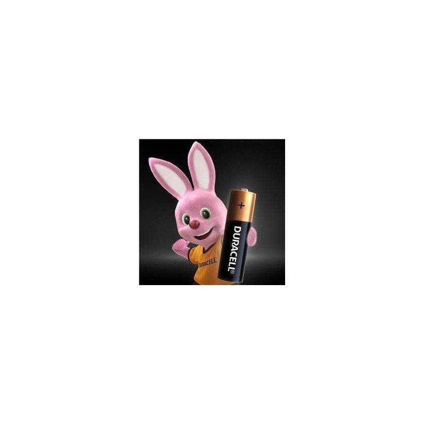 Elements DURACELL AA/LR06, 1.5V, 10 pcs. – 2