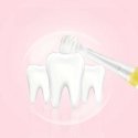 SEAGO children's sonic toothbrush, Yellow, 1xAAA 1.5V (not included), 4 tips, SG-902 Yellow SEAGO children's sonic toothbrush, Yellow, 1xAAA 1.5V (not included), 4 tips, SG-902 Yellow