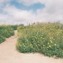 GT Photo GT24FILM Photo Film 35mm GT Photo GT24FILM Photo Film 35mm